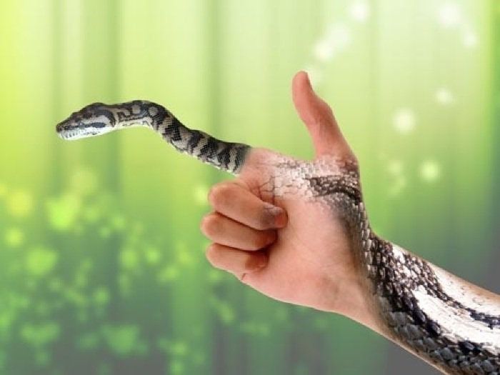 Nằm mơ thấy rắn cắn đánh con gì chính xác nhất? Tốt hay xấu?